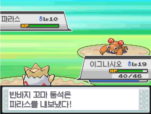 이그나시오의 누르기! 상대 갈모매는 쓰러졌다! 이그나시오는 270 경험치를 얻었다! 빌런트는 270 경험치를 얻었다! 포켓몬 트레이너 연가람의