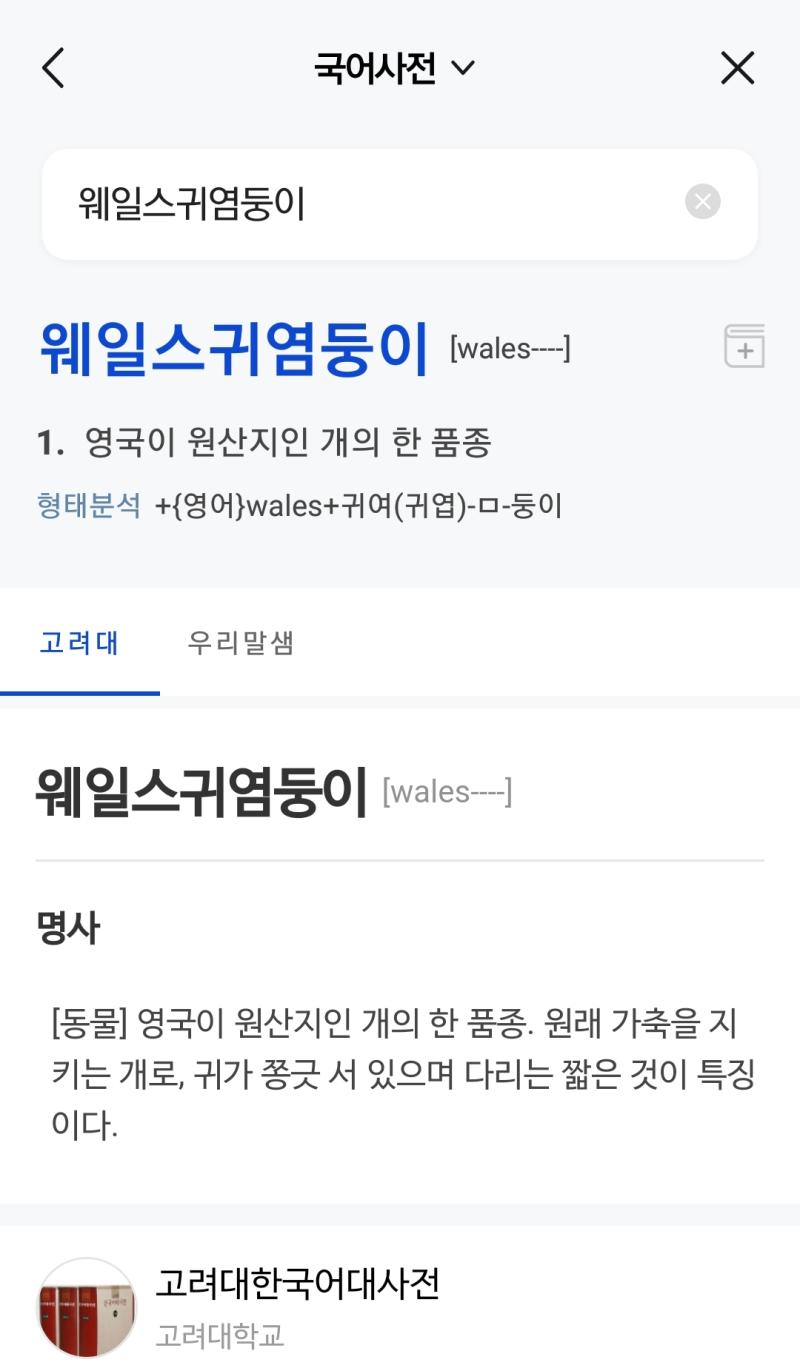 웰시코기의 또다른 이름..