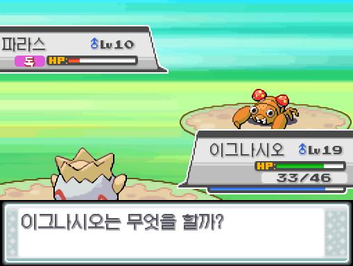 시즌 1 요약: 연가람은 도라지시티의 도라지체육관에서 윙배지를 얻었다. 시즌 2 100레스까지의 요약: 연가람은 고동마을의 고동체육관에서 인섹트