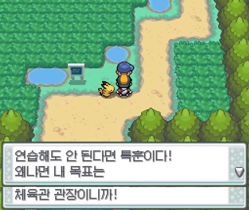 "연습해도 안된다면 특훈이다! 왜냐면 내 목표는 체육관 관장이니깐!" 동석과 헤어지고 연가람은 34번 도로를 계속 걸어갔다. 34번도로에서 포켓