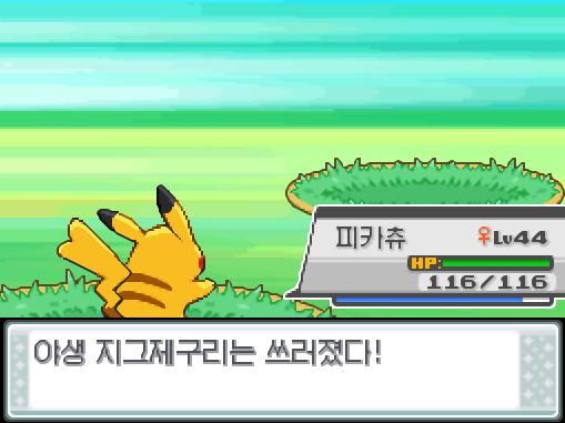 피카츄의 10만 볼트! 야생 지그제구리는 쓰러졌다! 피카츄는 376 경험치를 얻었다!