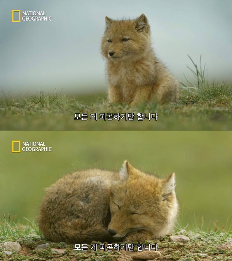 . 엇 난 올라간다