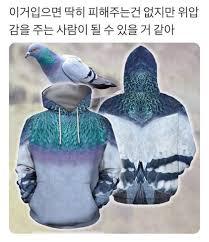 비둘기 후드티