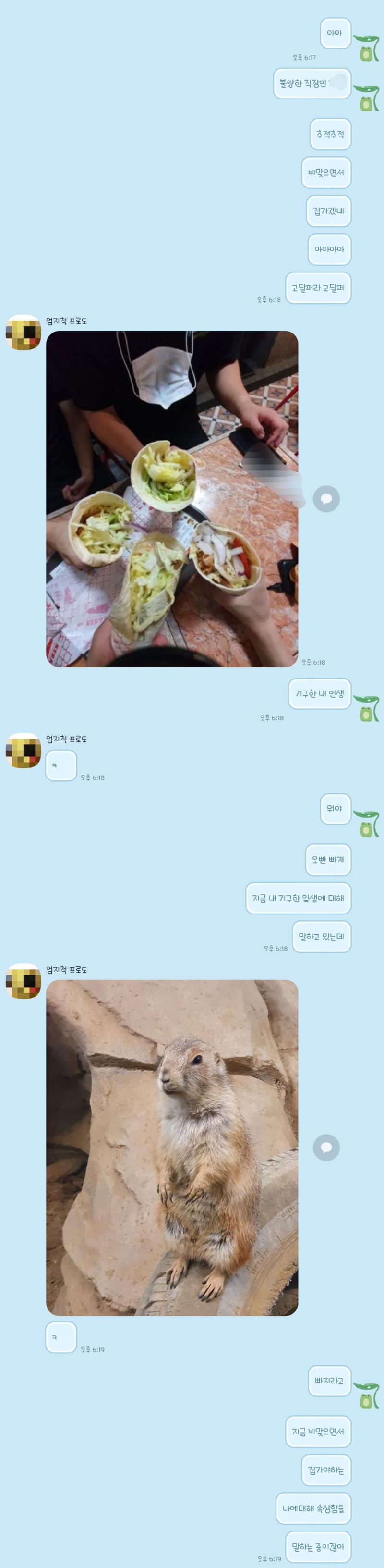 후... 이건 비와서 엄마보고 데려와 달라고 하는데 오빠가 꼽껴서 자긴 실내라고 노는중이라고 놀리는 카톡이야 증말 진짜 평소엔 톡도 잘 안보면서