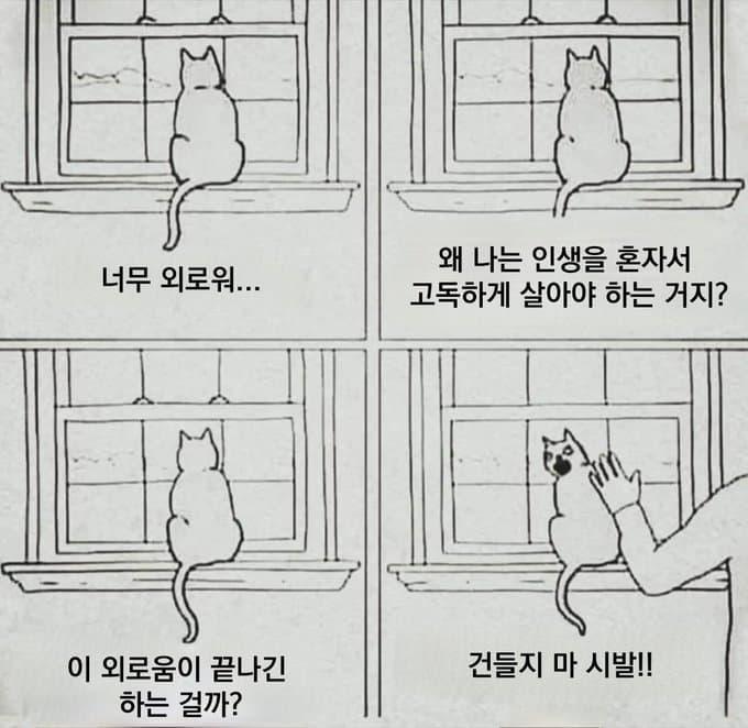 ㅋㅋㅋㅋㅋㅋㅋㅋㅋㅋㅋㅋㅋㅋㅋㅋㅋㅋㅋㅋㅋㅋㅋㅋㅋㅋㅋㅋㅋ 아니 이건 한때 고양이 짤로 돌아다니던건데 왜 우울밈에 같이 있음 아니 진짜로 정신병자같아