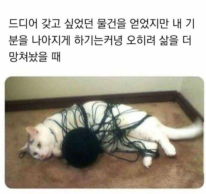 어제 오늘 상태가 딱 이랬음 오랜만에 다꾸 해야지 하고 꺼냈는데 다 그지같아서 진짜 내가 살고있는 1n층에서 종이박스 던질번함 아 실제로 할건 