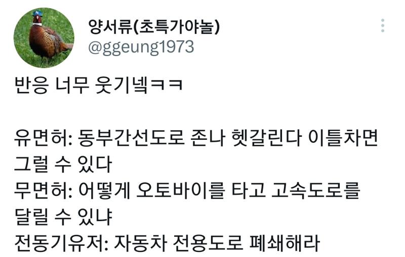 얘네같음