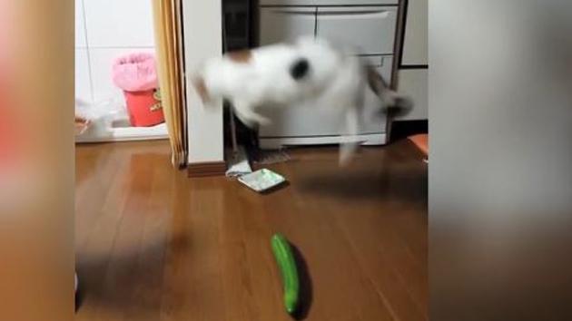 1임? 아님 2?
