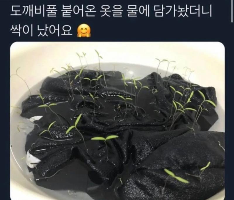 뭔가 징그러운 느낌이 드는데 정확하게 뭐때문인지는 모르겠다