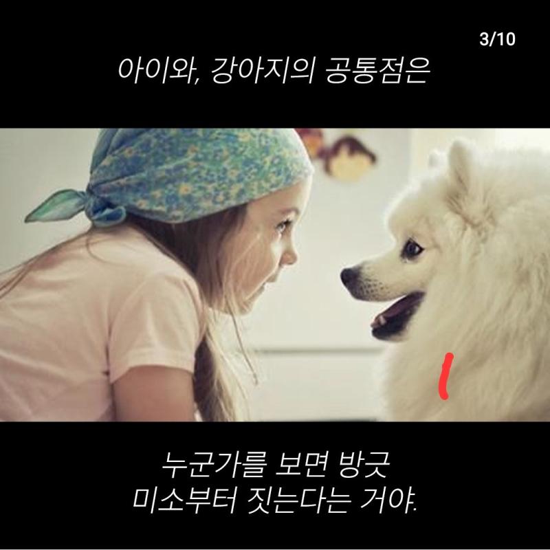 아니던데