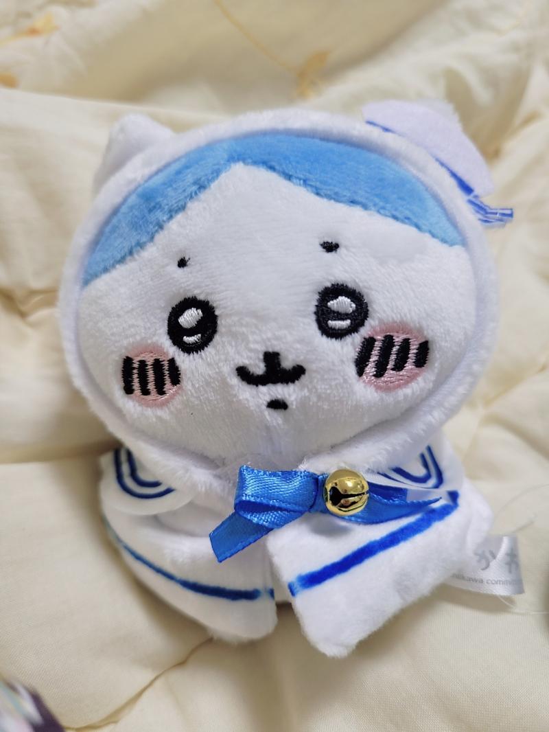5/24(화) 하치와레랑 하치용옷이왓어용ㅎ 너무너무너무너무 으악너무귀여워서 당장 옷두개더사고 애얼굴이 터질거같길래 하치 조그만인형도 하나더삿다.