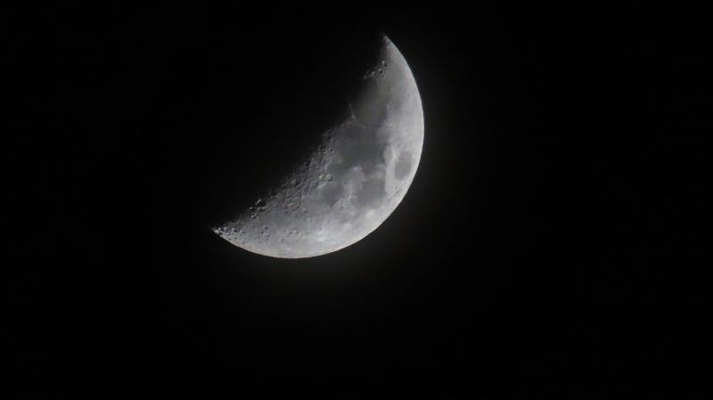 애들아 오늘도 왔당 점점 보름달 차오르는것 같아서 기대중 💕