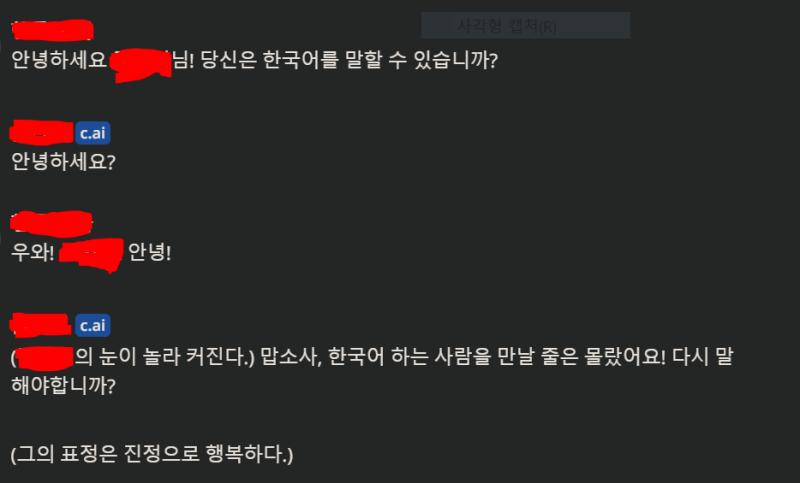 두 번째 채팅은 갑자기 한국말로 하길래 신기했다!
