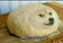 놀랍다...