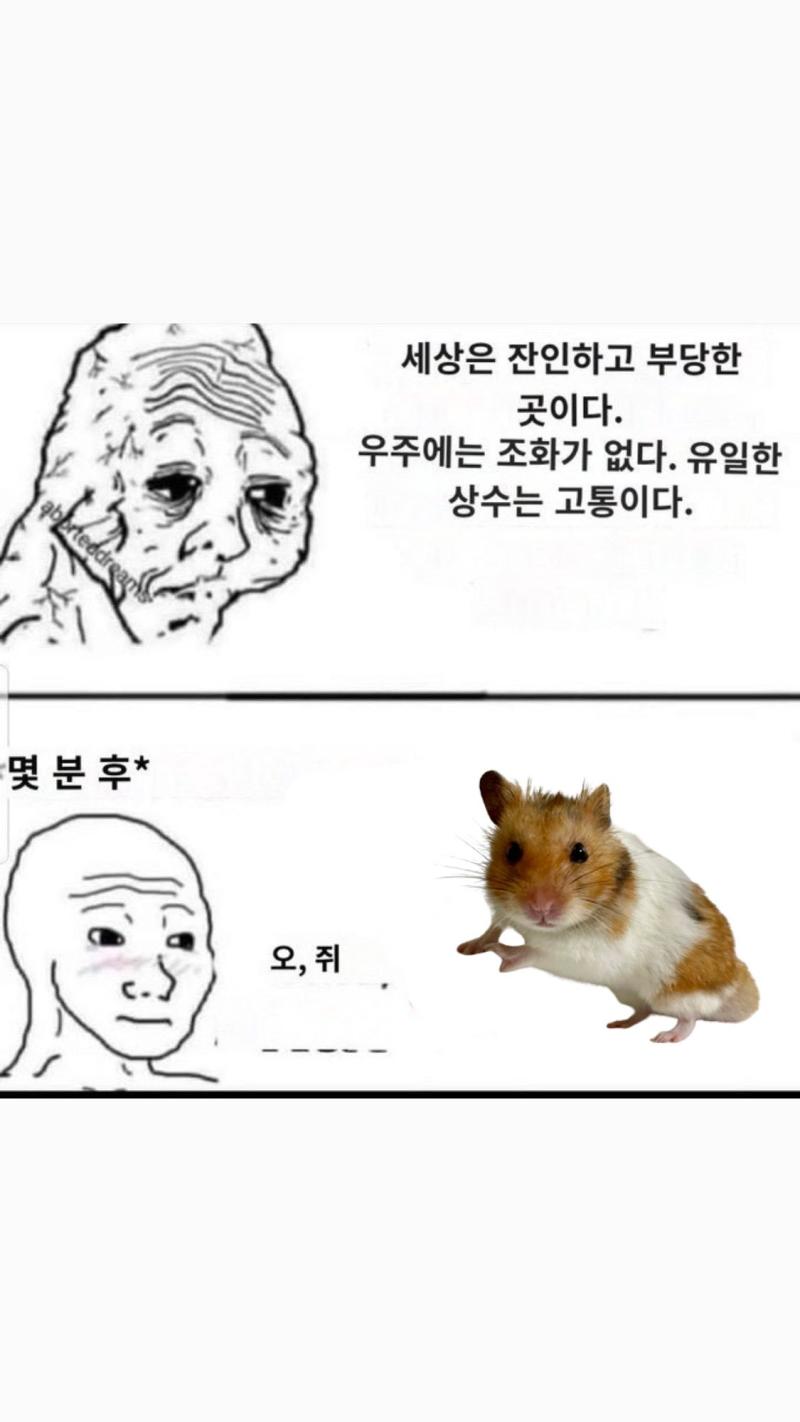 이거 아녀?