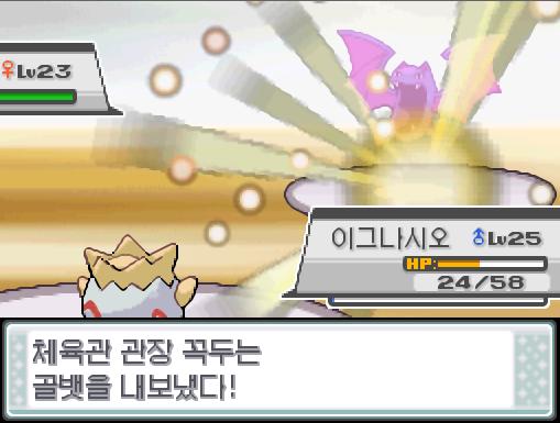 싸라기눈이 이그나시오를 덮쳤다! 체육관 관장 꼭두는 자신의 마지막 포켓몬 골뱃을 내보냈다! "자, 잠깐! 앞으로 한 마리? 하지만... 질 수는