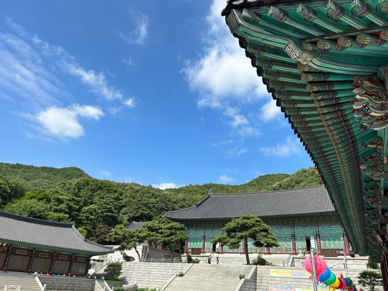 어제는 기도하러 절에 다녀왔어! 잠깐 자취방도 들러서 옷도 챙기구.. 사진은 아빠가 찍은 절사진! 기도하는데 우리가족만 있고 풍경소리가 댕..