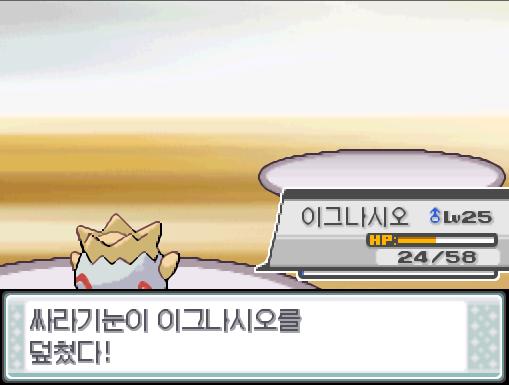 싸라기눈이 이그나시오를 덮쳤다! 체육관 관장 꼭두는 자신의 마지막 포켓몬 골뱃을 내보냈다! "자, 잠깐! 앞으로 한 마리? 하지만... 질 수는