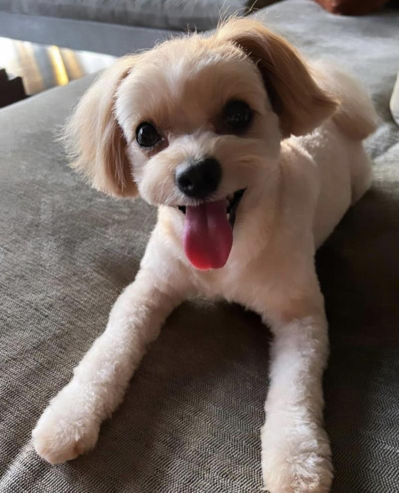 말은 드럽게 안들어ㅎㅎ