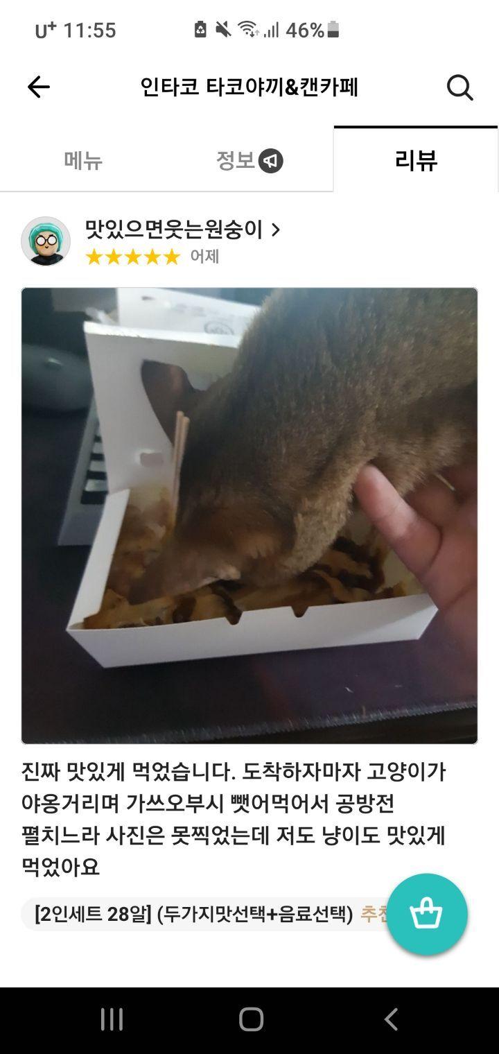 타코야키집 리뷰