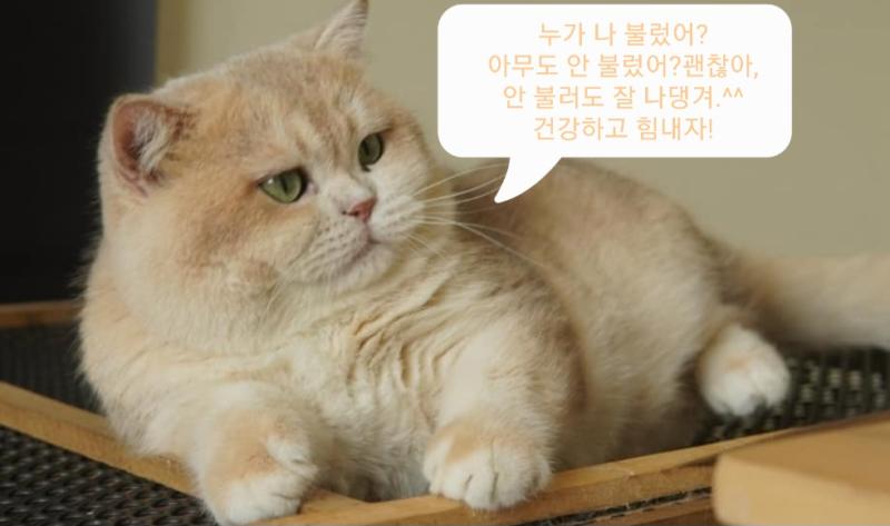 ใ
ใ
์ฃผ๋ง์ธ๋ฐ ์ ๋ณด๋ด๊ณ ?๋ด๊ฐ ์์ค๋
์ด ์ด์ง ์์^^~์ํ๋ฉด ์ ์ง ์๋ฝใ
ใ
๋ด ์ฃผ๋ณ์๋ ํดํ์กฐ์ฐจ ์๋ค.ํ์์ ๊ทผ์ฒ ํ๋ฐ๊พธ ์ซ~์
๋์๋ ์์ด.ใ
์๊ณ