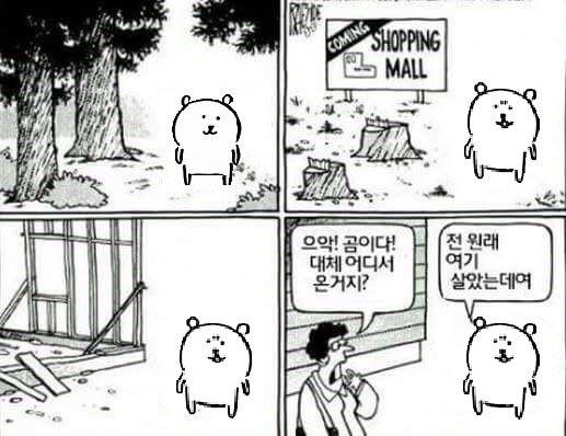 심지어 저러고 원작팬한테 헐 원작 그캐판다구요?? 이러는거ㄹㅇ 개빡친다