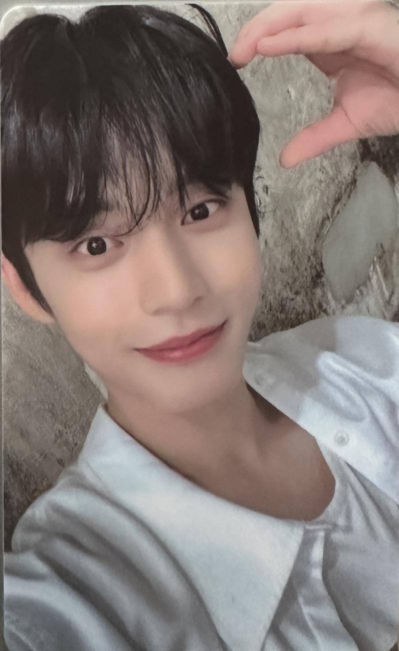 1. 디지팩 점프업 미공포 2. 위드뮤 강아지귀 럭드