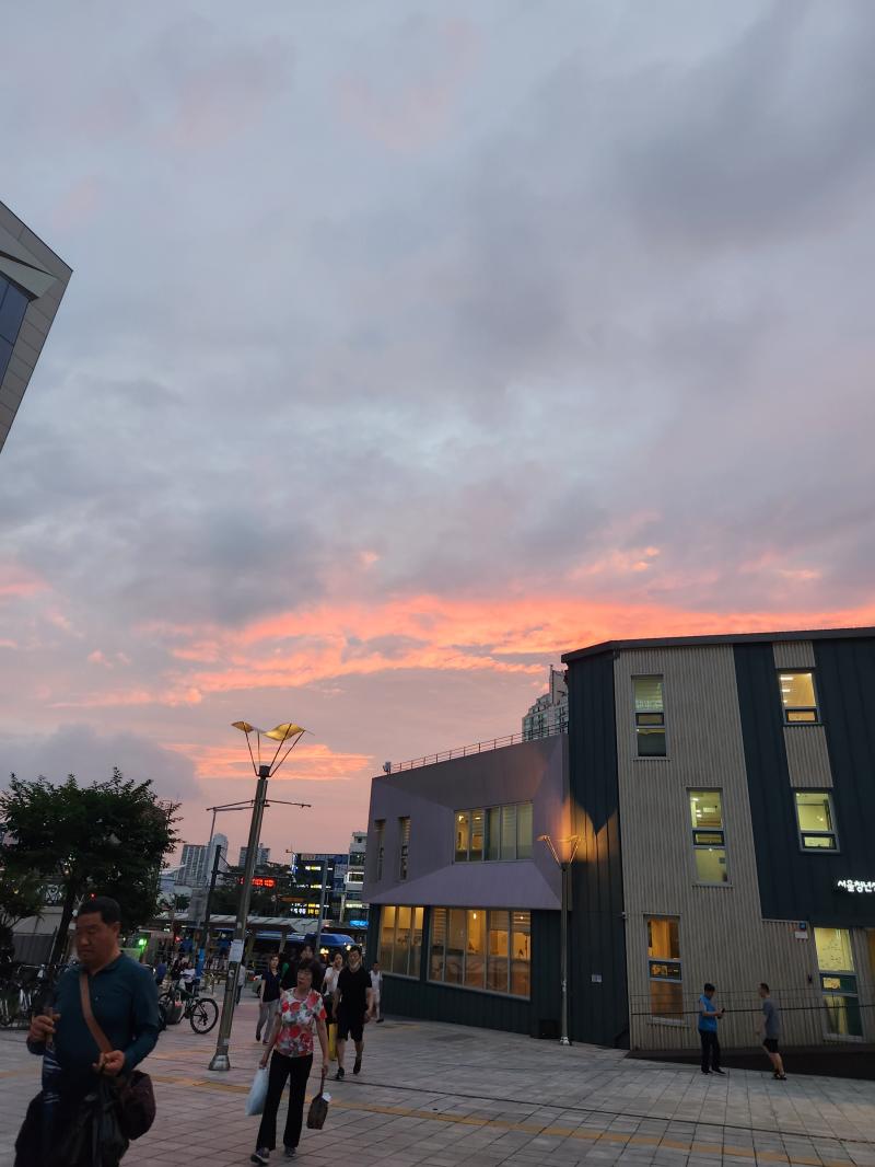 테스트