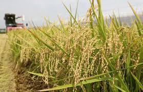 >>46 체크. 다음 사진을 보고 떠오르는 것을 각각 적어줘