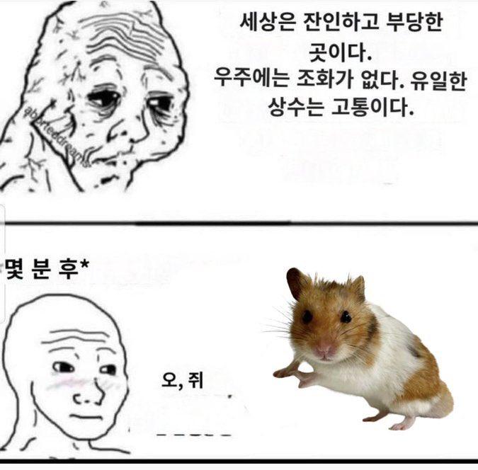 요즘에맨날 짤처럼 비오면 오, 비 웹툰보면 오, 웹툰 스레딕하면 오, 스레딕 이러고살음