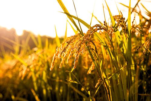 >>90 체크. 다음 사진을 보고 떠오르는 것을 각각 적어줘