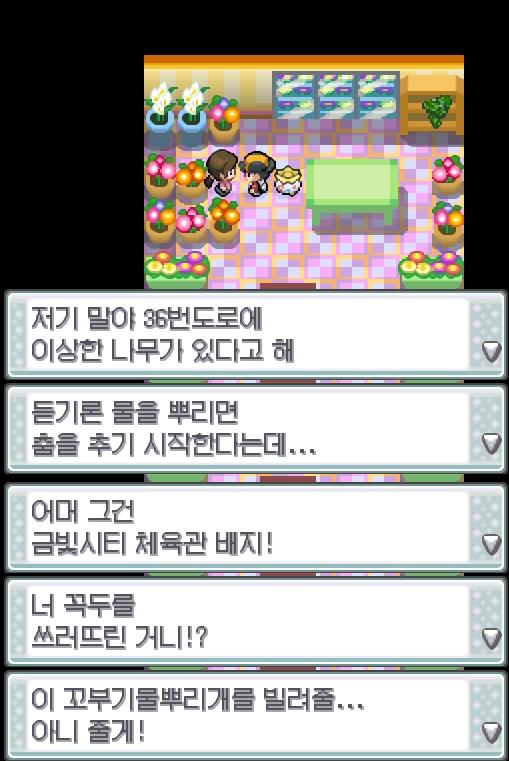 연가람은 체육관 옆에 있는 꽃집에 방문했다. 꽃집주인은 연가람의 레귤러배지를 보고 꼬부기물뿌리개를 선물했다. 연가람은 꼬부기물뿌리개를 받고 포켓
