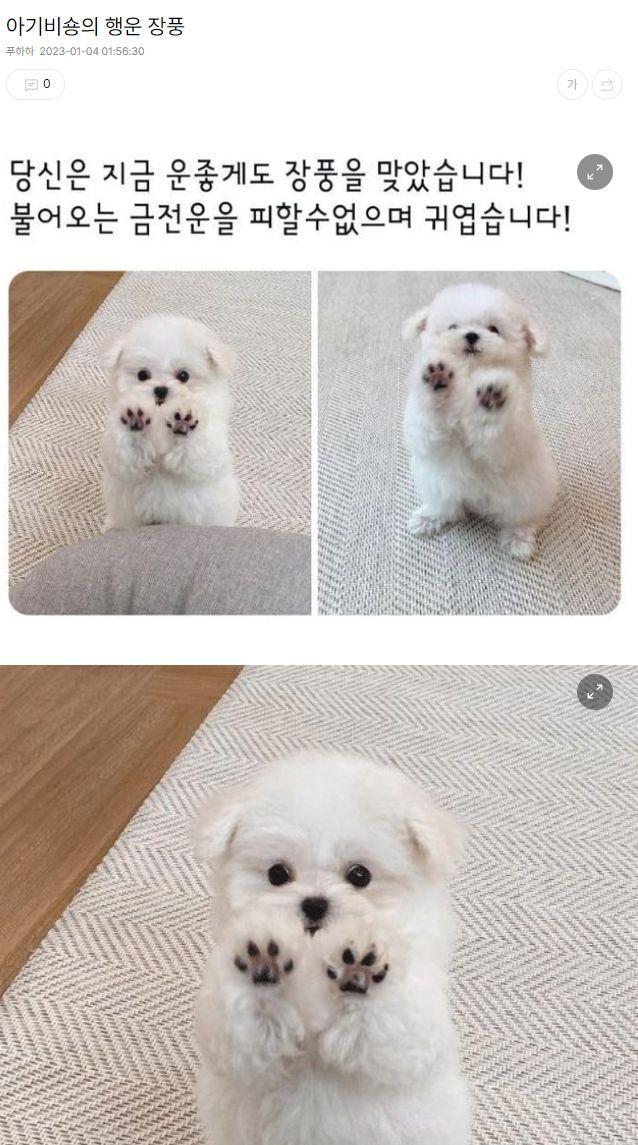받아랏