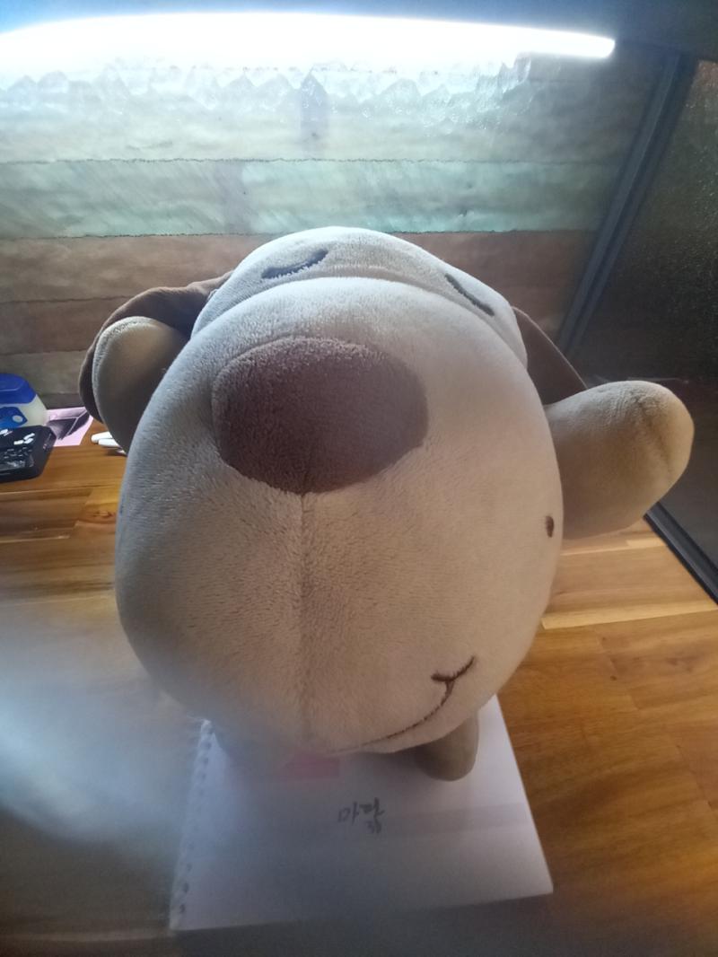 >>9 애착 인형인거 어떻게 알앗어?? 엄청 포근허고 폭신해 옷도 있어
