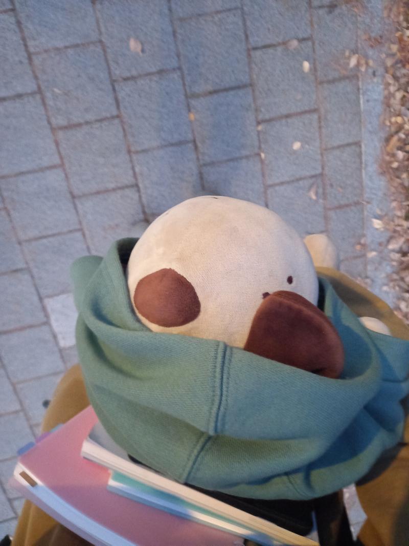 >>9 애착 인형인거 어떻게 알앗어?? 엄청 포근허고 폭신해 옷도 있어