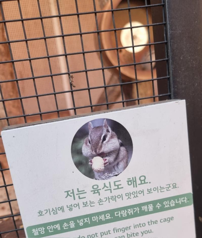 >>493 선정하고 보니 제 눈에만 귀야운 거 같아서 미리 죄송합니다,, 평온한 밤 되세요