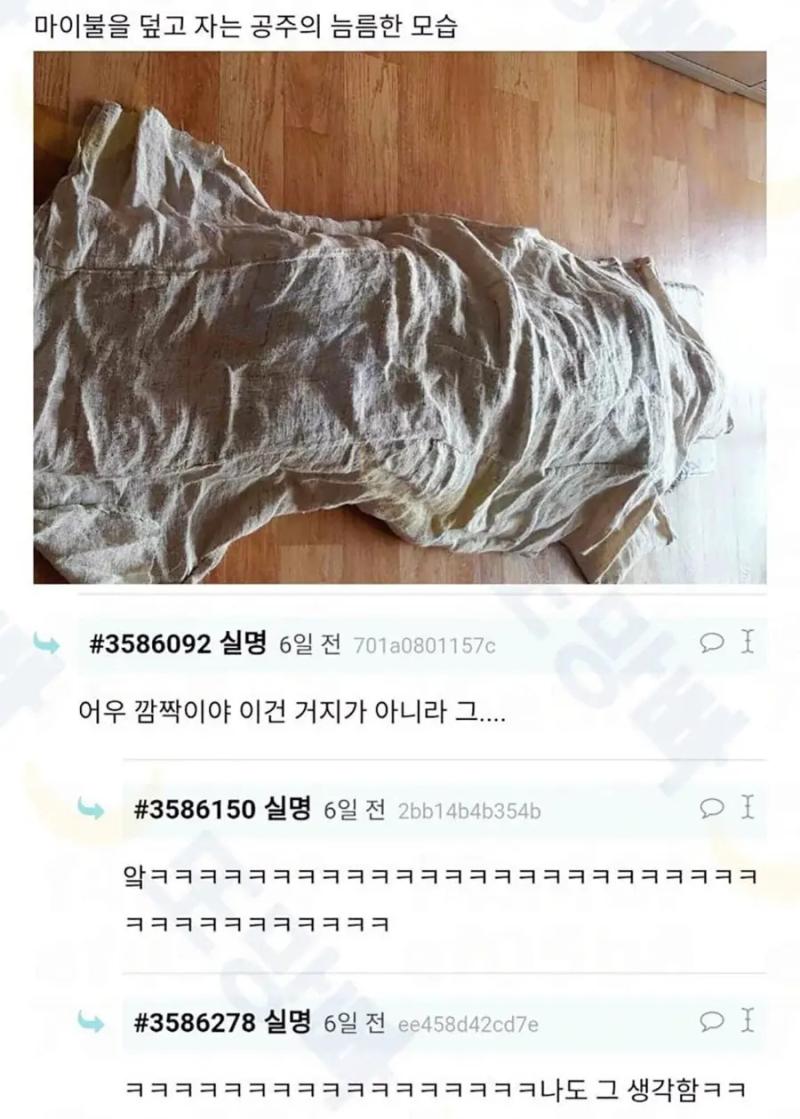 마로 된 이불 덮는데 동생이 조선시대 거지같대
