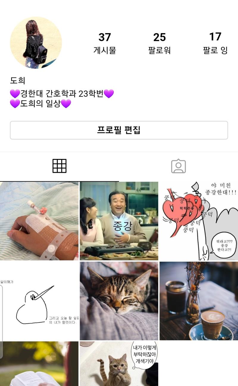 그래서 나는 아쉬운대로 정도희의 인ㅅ타를 둘러보기로 했다. 어떤 게시글부터 볼까? >>53