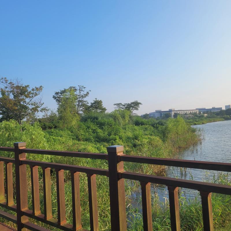 오늘의 산책~