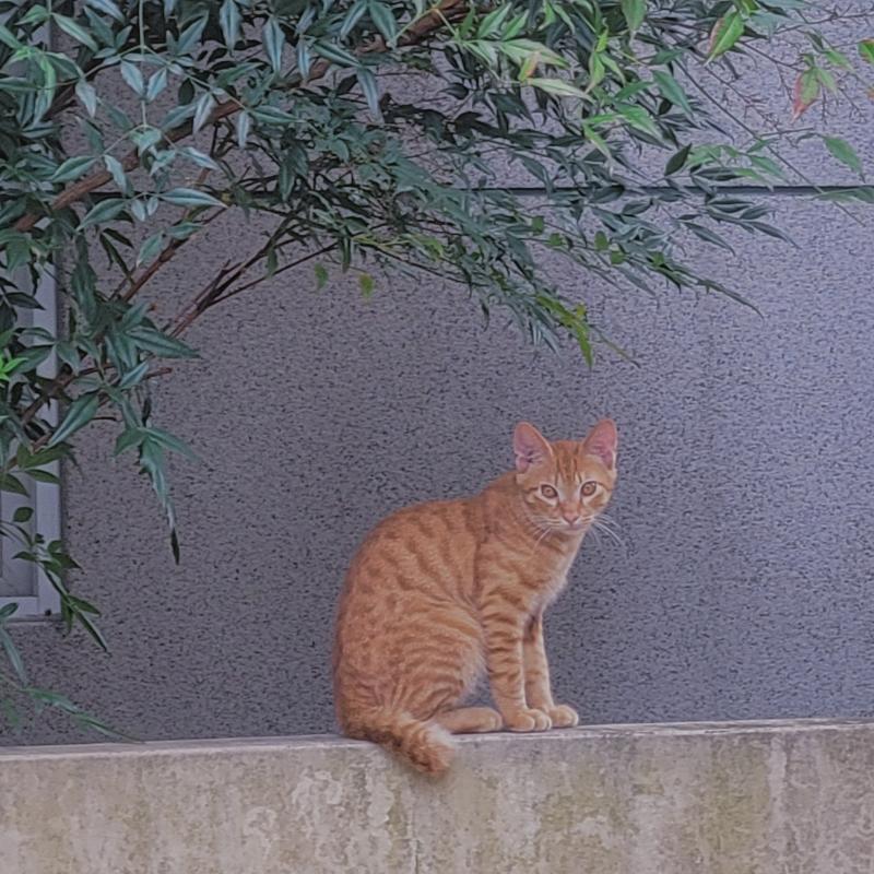 오늘의 사진