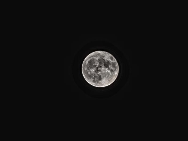 영상기가 막힌거 찍었는데 스레드 영상 못올리지 ㅠㅠ 그래도 이렇개 찍혀서 만족한다!
