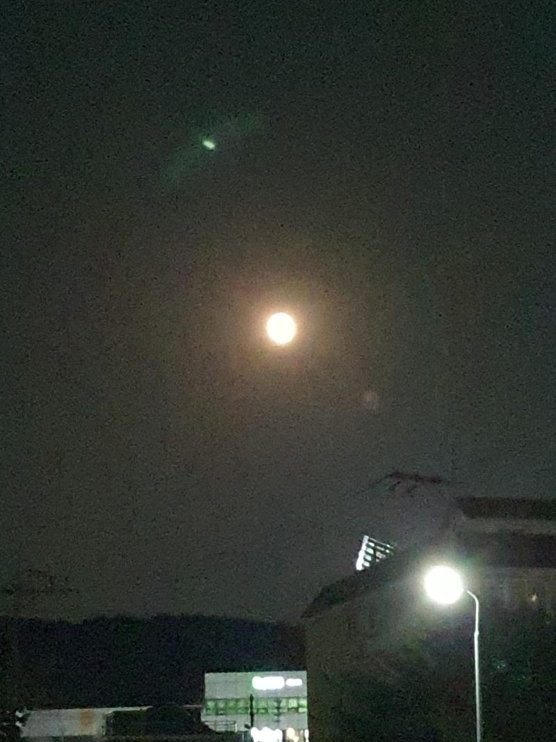 >>344 앗 고마워 오늘도 달사진 찍었어