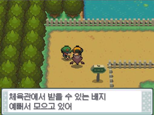 "체육관에서 받을 수 있는 배지. 예뻐서 모으고 있어." 연화와 헤어진 연가람은 35번 도로를 계속 걸었다. 그러던 중 연가람은 기술머신 66