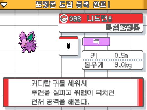 연가람은 하이퍼볼을 사용했다. 신난다-! 니드런 수컷을 붙잡았다. 니드런 수컷. 독침 포켓몬 주위 소리에 민감하고 겁쟁이 같은 성격. 커다란 귀