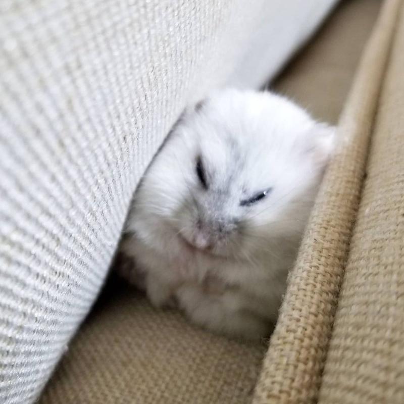 기분이 어때요? @: