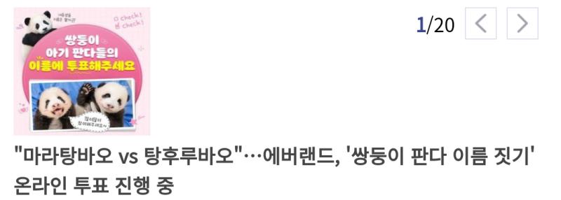 진짜 씨발 적당히들좀 하자