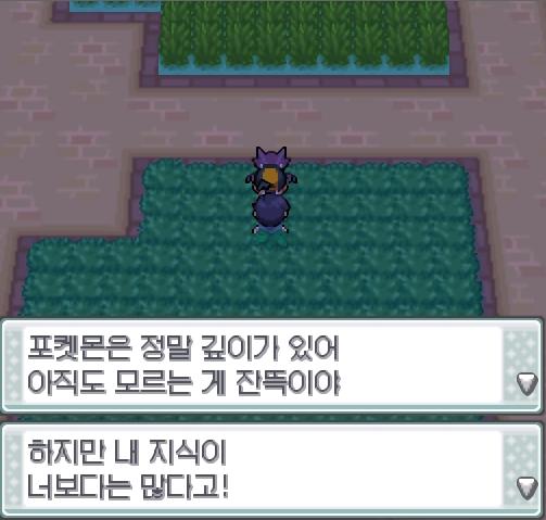 "포켓몬은 정말 깊이가 있어. 아직도 모르는게 잔뜩이야. 하지만 내 지식이 너보다 많다고!" 자연공원에서 포켓몬과 만날 수 있는 횟수: 최대 1