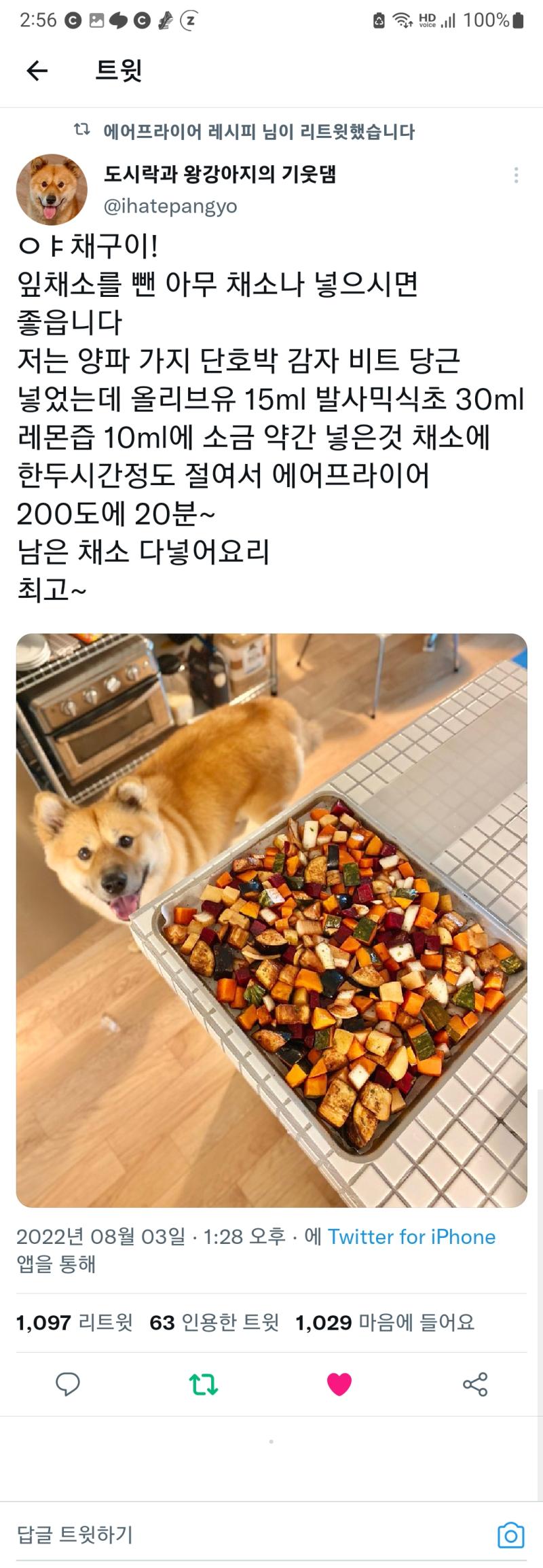 귀여운 왕강아지 계정에서 알려준 야채구이