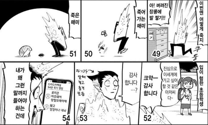 죽어가는 매미 -> 죽은 매미 감사합니다..?