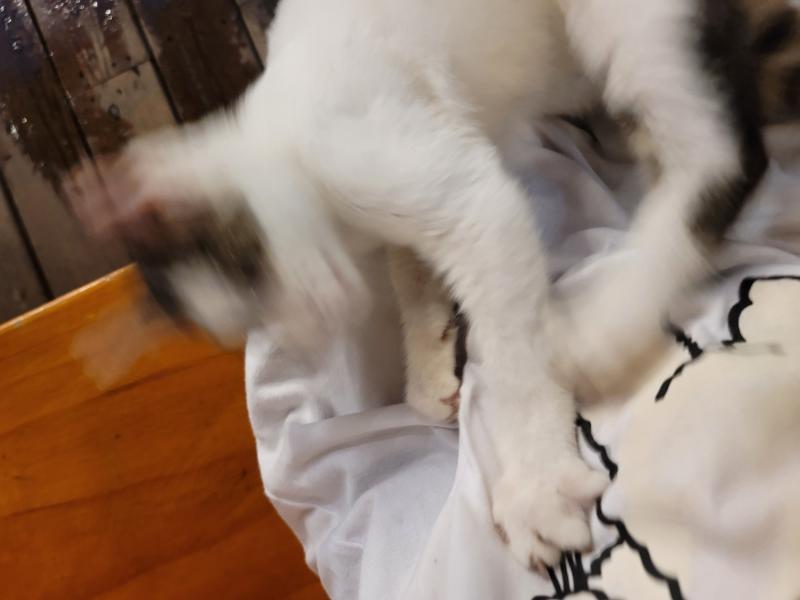 >>6 굴러떨어지기 직전 사진 여기있다ㅋㅋㅋㅋㅋㅋ 개웃김